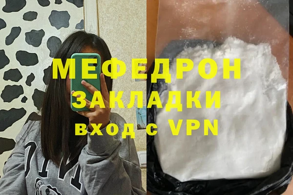 индика Арсеньев