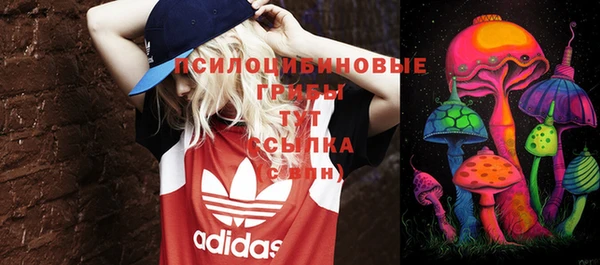индика Арсеньев