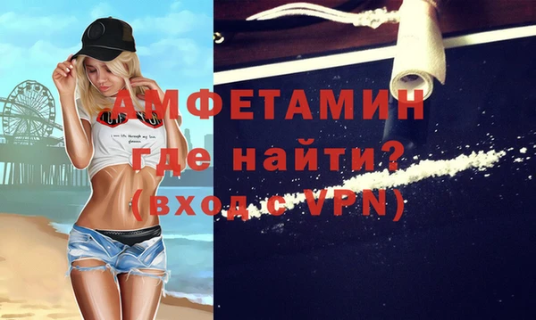 индика Арсеньев