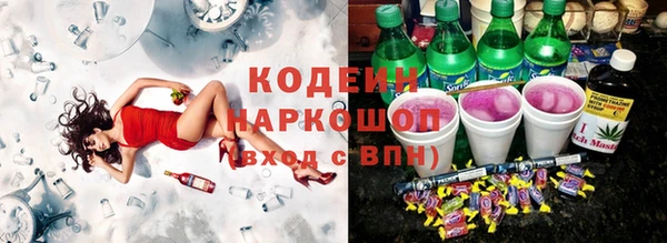 индика Арсеньев