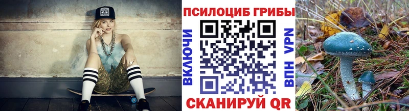 Галлюциногенные грибы Cubensis  Нерюнгри 