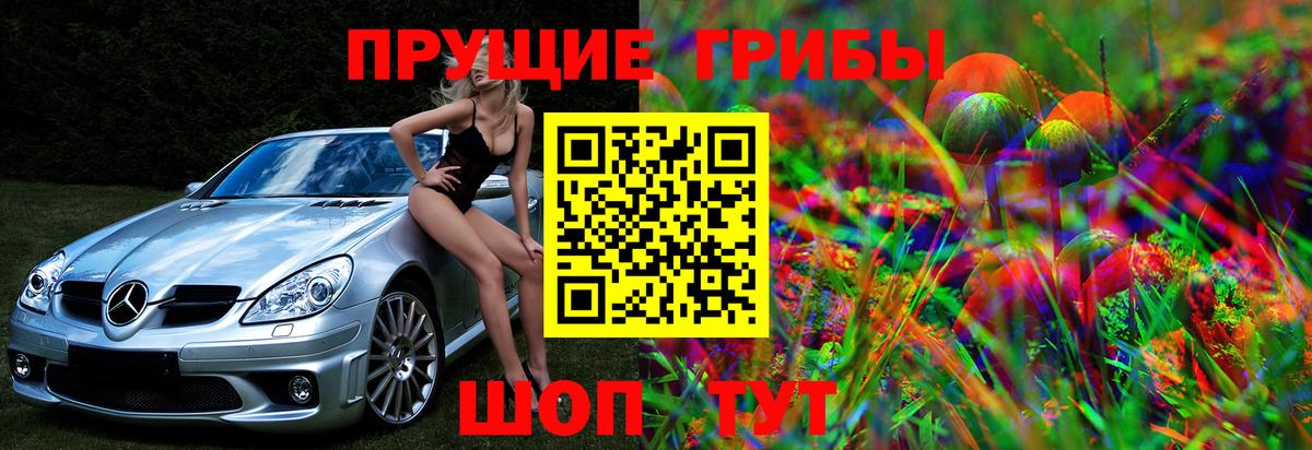 Псилоцибиновые грибы мухоморы Нерюнгри