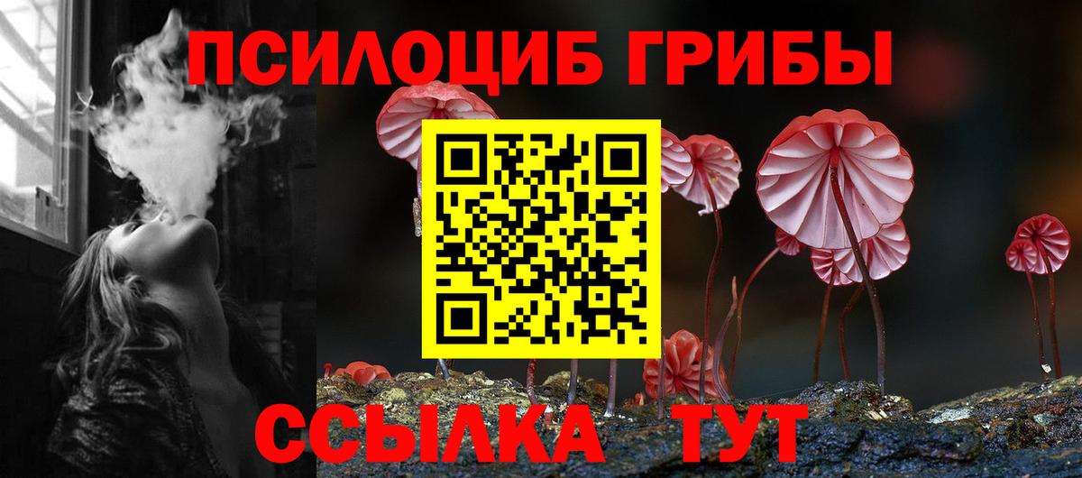 Псилоцибиновые грибы мицелий  Вход с VPN  Нерюнгри 